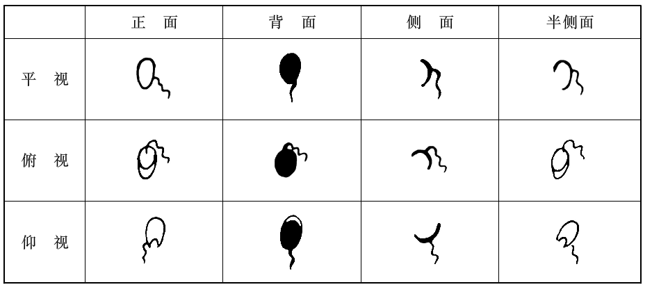 瑜伽教程,瑜伽圖片,瑜伽常識,瑜伽體式