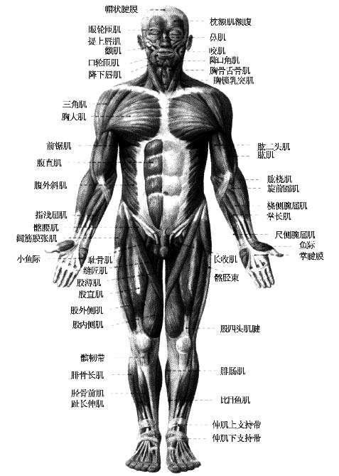 瑜伽教程,瑜伽圖片,瑜伽常識,瑜伽體式