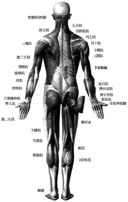 瑜伽教程,瑜伽圖片,瑜伽常識,瑜伽體式
