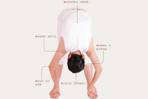 瑜伽體式-鴕鳥(niǎo)式