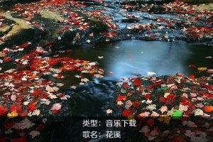 《瑜伽音樂下載》花溪