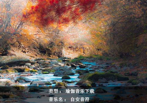 一首讓你沉醉的音樂：自安音符