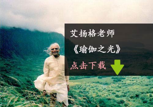 瑜伽電子書-艾揚(yáng)格-瑜伽之光下載