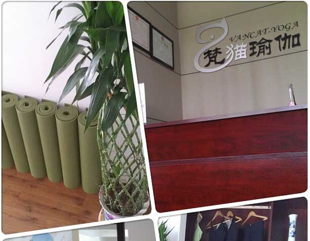 武漢梵貓瑜伽有限公司