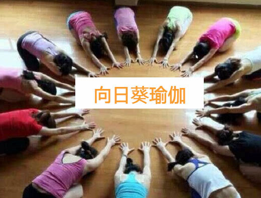 南京向日葵瑜伽會(huì)館