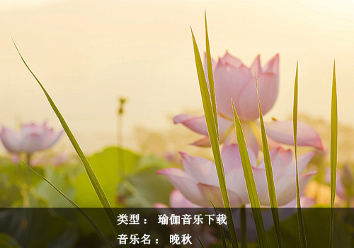 瑜伽音樂下載：一簾幽夢