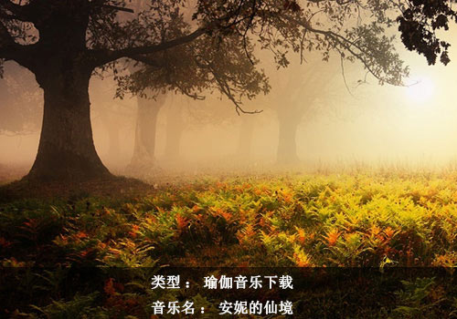 瑜伽音樂下載：安妮的仙境