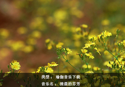 瑜伽音樂下載：清晨的芬芳