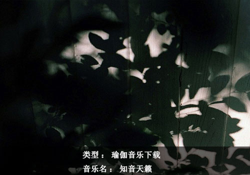瑜伽音樂下載：知音天籟