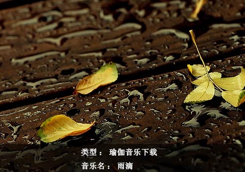 瑜伽音樂(lè)下載：雨滴