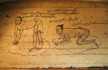 了解瑜伽運(yùn)動(dòng)的起源