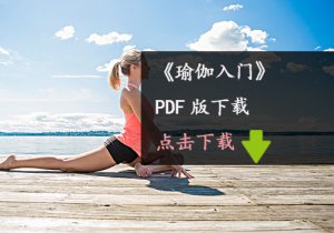 《瑜伽入門》PDF版下載
