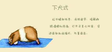 瑜伽教程,瑜伽圖片,瑜伽常識,瑜伽體式