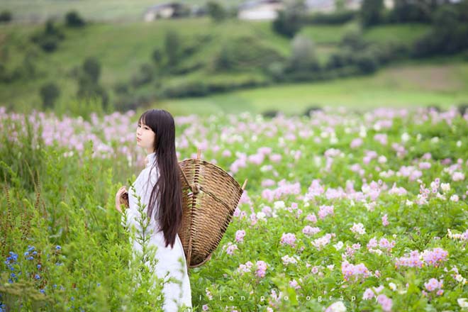 駱駝式，讓你告別“小腹婆”