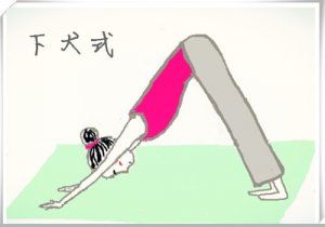 下犬式瑜伽體式的100個細節(jié)