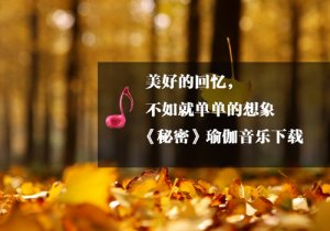 《瑜伽音樂下載》秘密
