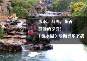 《瑜伽音樂下載》流花湖
