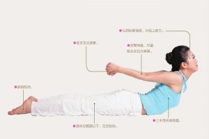 瑜伽體式-全蝗蟲式