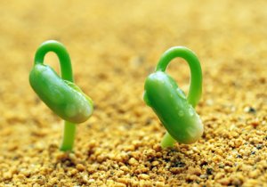 讓瑜伽與自己的心性聯(lián)結(jié)！