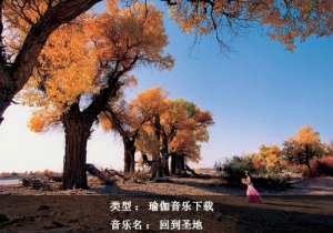 瑜伽音樂下載：回到圣地