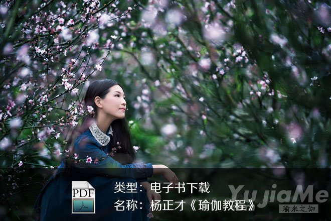 楊正才《瑜伽教程》PDF下載