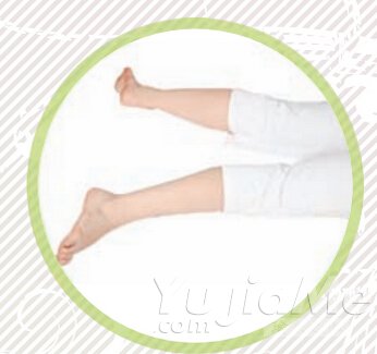 鱷魚(yú)式4