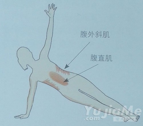 側(cè)棒式腹橫肌