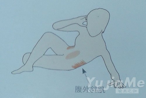 側(cè)身仰臥起坐-腹外斜肌