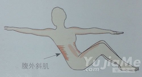 劃船腹外斜肌