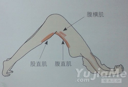 平板式的變化式動(dòng)作效果