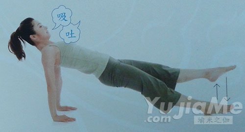 反向棒式進(jìn)階動(dòng)作