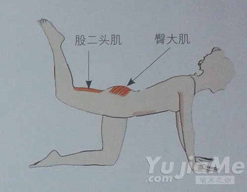 四足跪姿后抬腿-高效塑臀減肥瑜伽