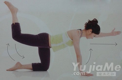 四足跪姿后抬腿進階動作