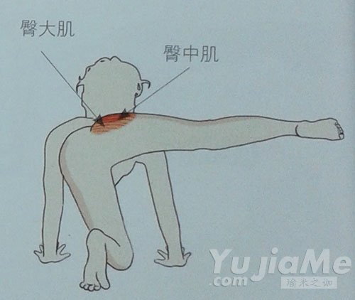 四足跪姿側(cè)抬腿-高效塑臀減肥瑜伽