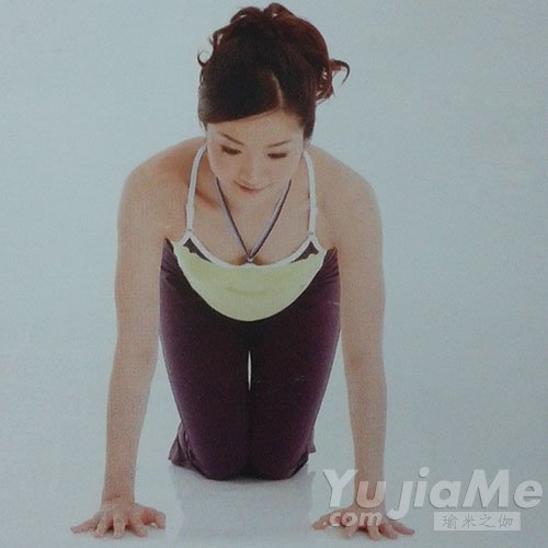 四足跪姿側(cè)抬腿1