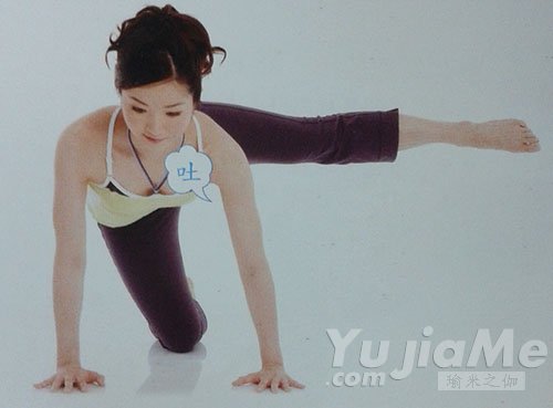 四足跪姿側(cè)抬腿3