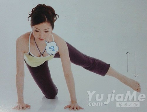 四足跪姿側(cè)抬腿4