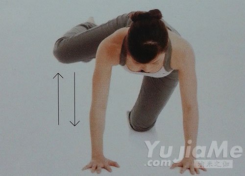 四足跪姿側(cè)抬腿替代動(dòng)作