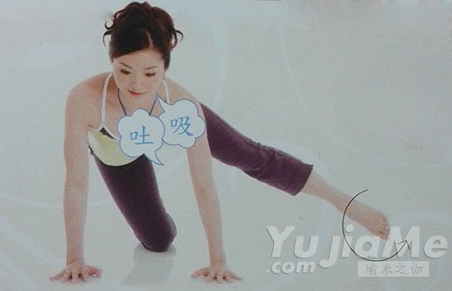 四足跪姿側(cè)抬腿進(jìn)階動(dòng)作