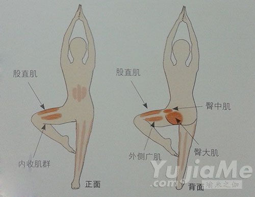 超棒的減肥瑜伽瘦腿動作 