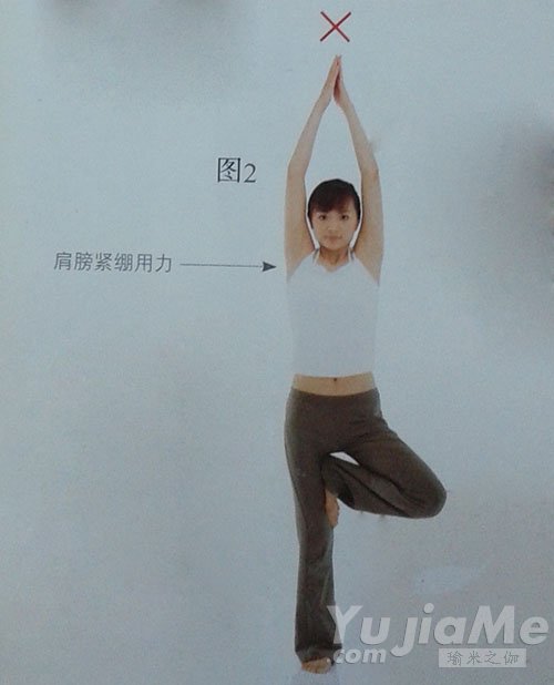 樹的變化式錯誤動作2