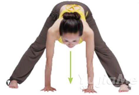 叭喇狗式3