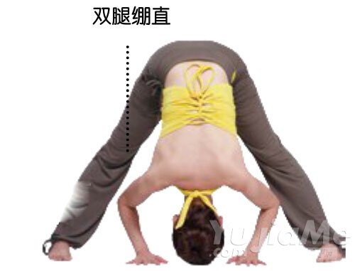 叭喇狗式4