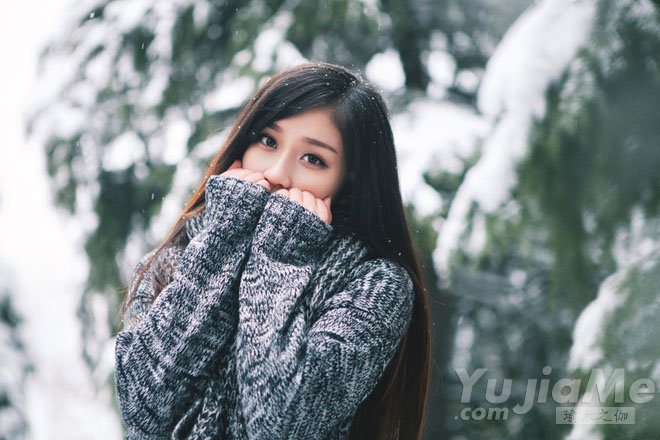 天天瑜伽-零基礎練瑜伽 女性瑜伽書