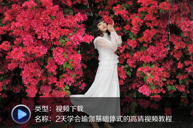 20部瑜伽基礎(chǔ)體式的高清視頻-新手