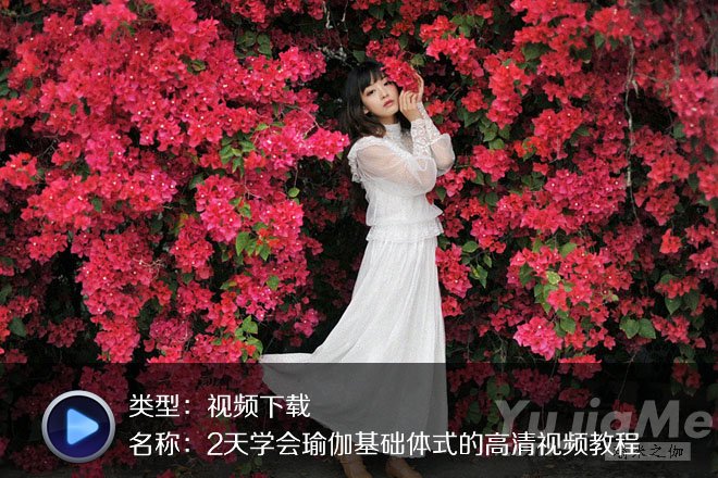 2天學(xué)會(huì)瑜伽基礎(chǔ)體式的高清視頻教程