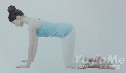 八肢點(diǎn)地式1
