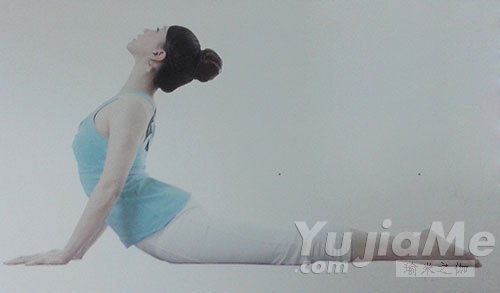 八肢點(diǎn)地式3