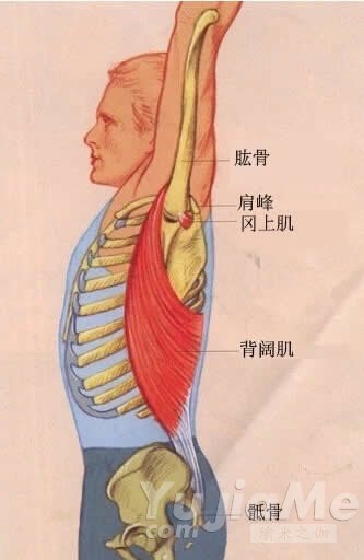 瑜伽體式 拉伸背闊肌舒展上半身3