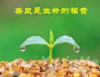 善行